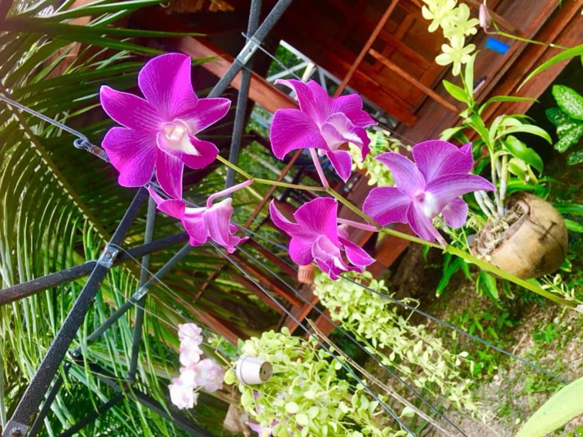 ホテル Lanta A Toi House Ko Lanta エクステリア 写真